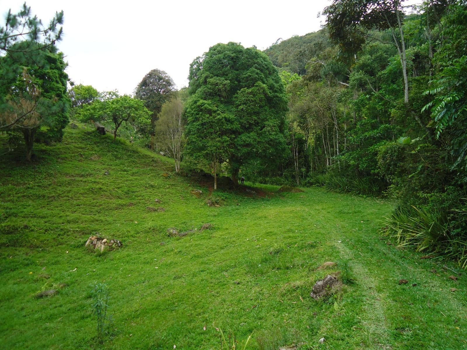 Fazenda à venda, 431637m² - Foto 28