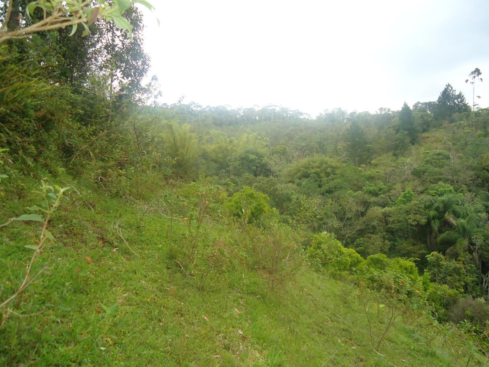 Fazenda à venda, 431637m² - Foto 29