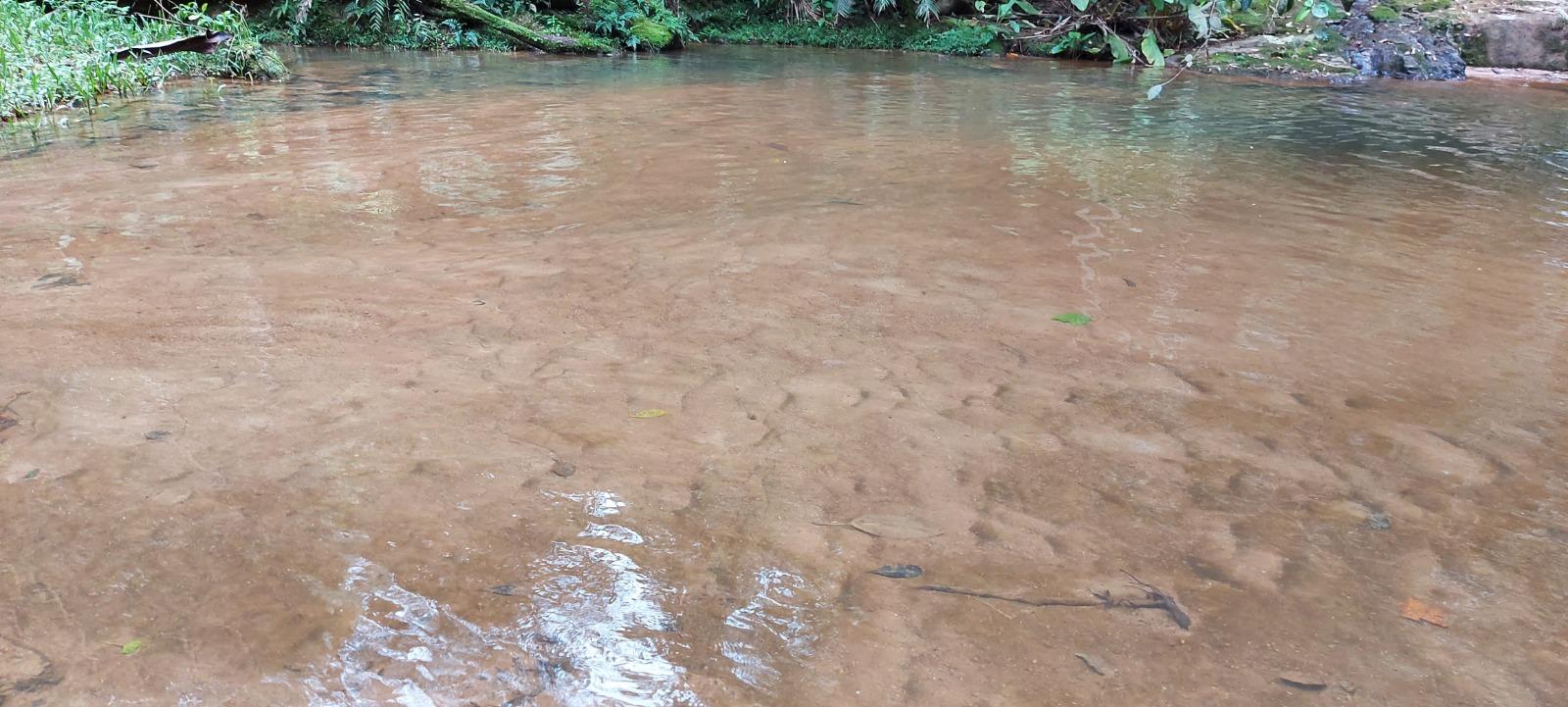 Fazenda à venda, 431637m² - Foto 7