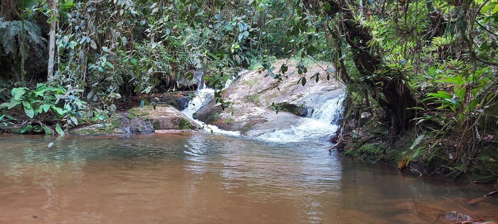 Fazenda à venda, 431637m² - Foto 8