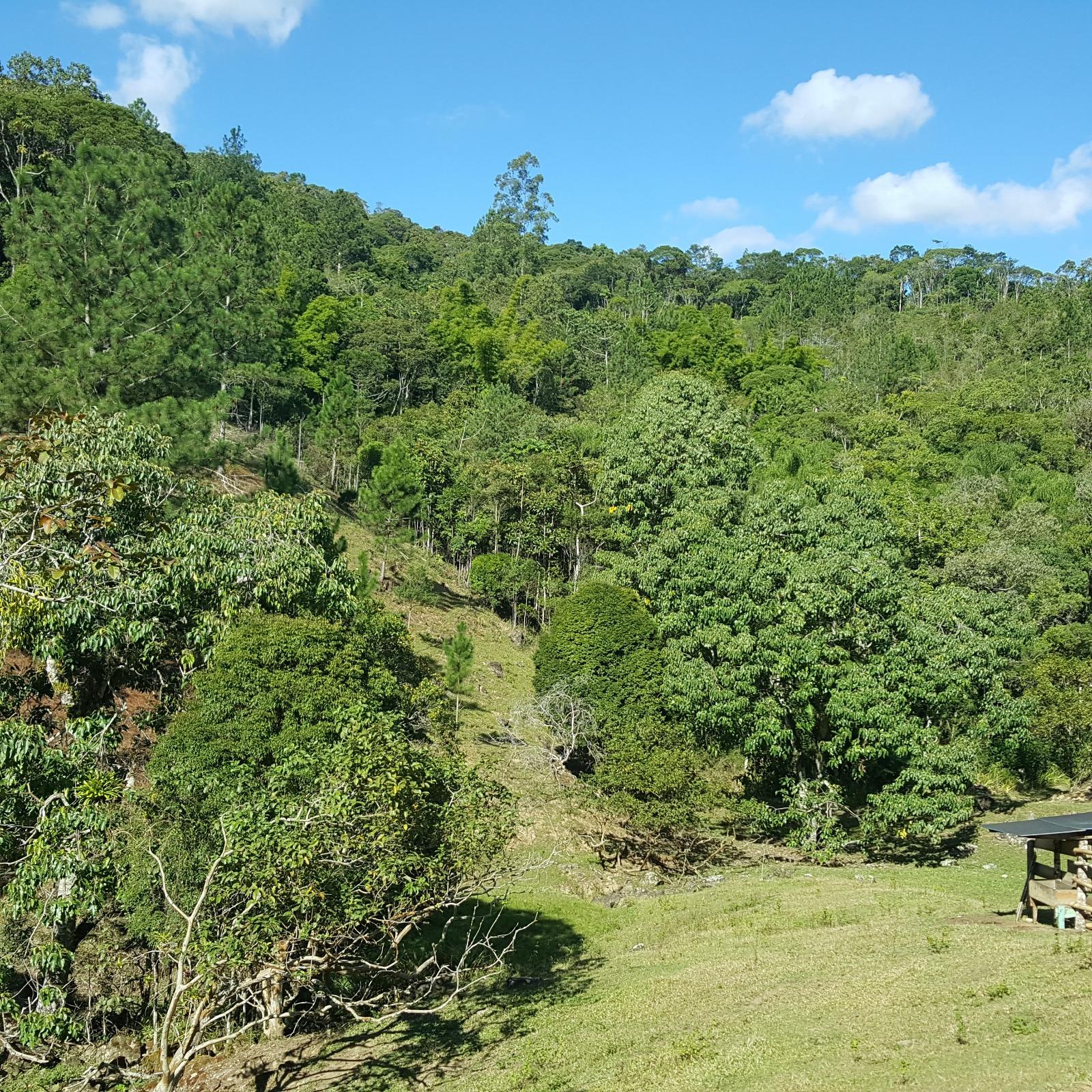 Fazenda à venda, 431637m² - Foto 9