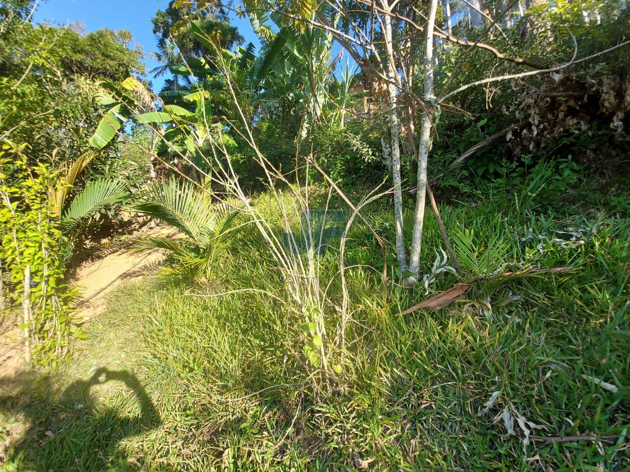 Terreno à venda com 2 quartos, 750m² - Foto 5