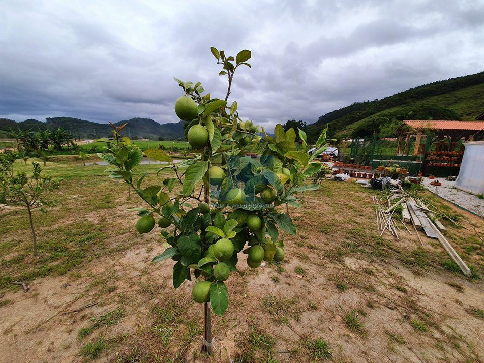 Fazenda à venda com 2 quartos, 2100m² - Foto 16