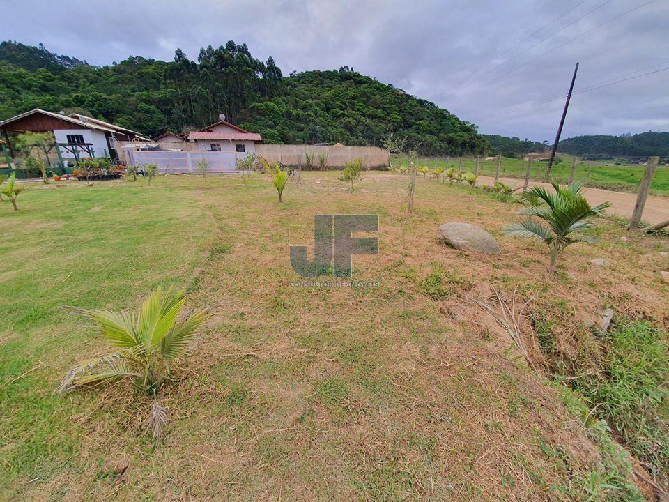 Fazenda à venda com 2 quartos, 2100m² - Foto 2