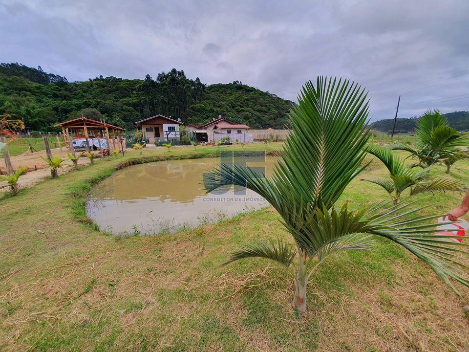 Fazenda à venda com 2 quartos, 2100m² - Foto 6