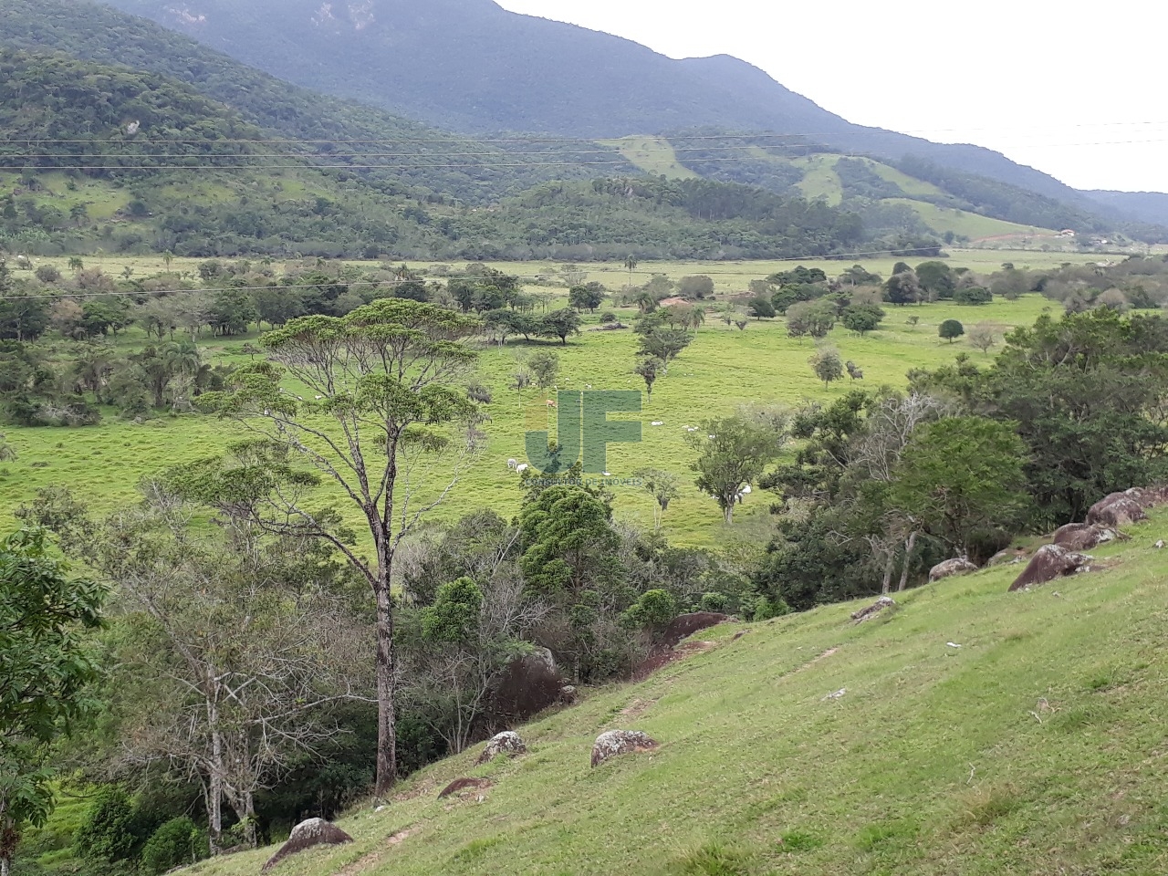 Fazenda, 53000 hectares - Foto 1