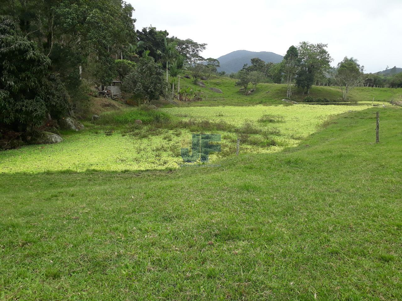 Fazenda, 53000 hectares - Foto 10