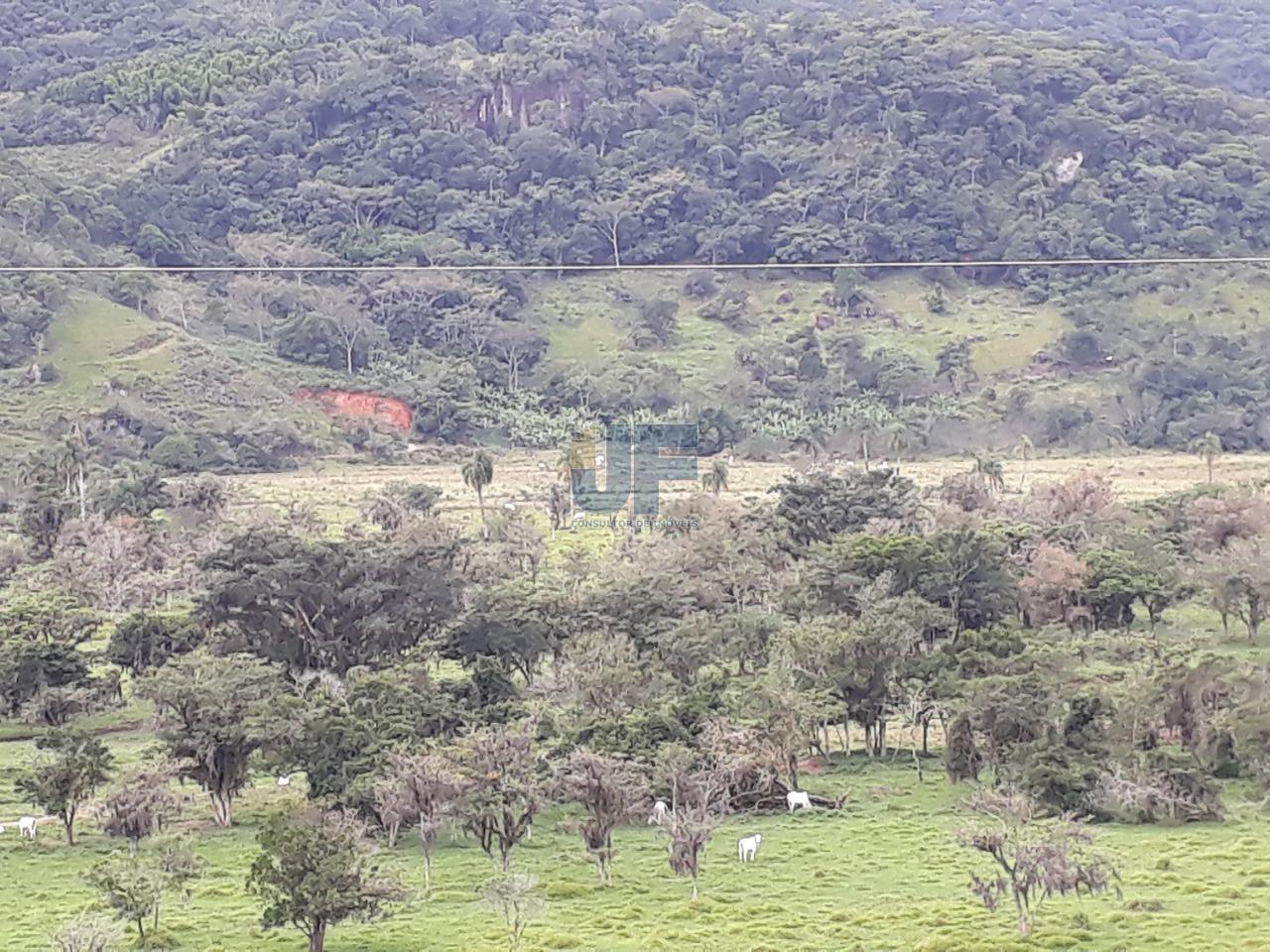 Fazenda, 53000 hectares - Foto 12