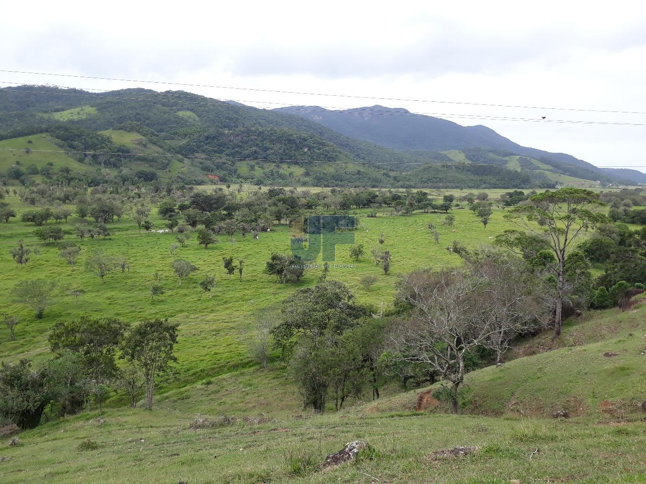 Fazenda, 53000 hectares - Foto 14