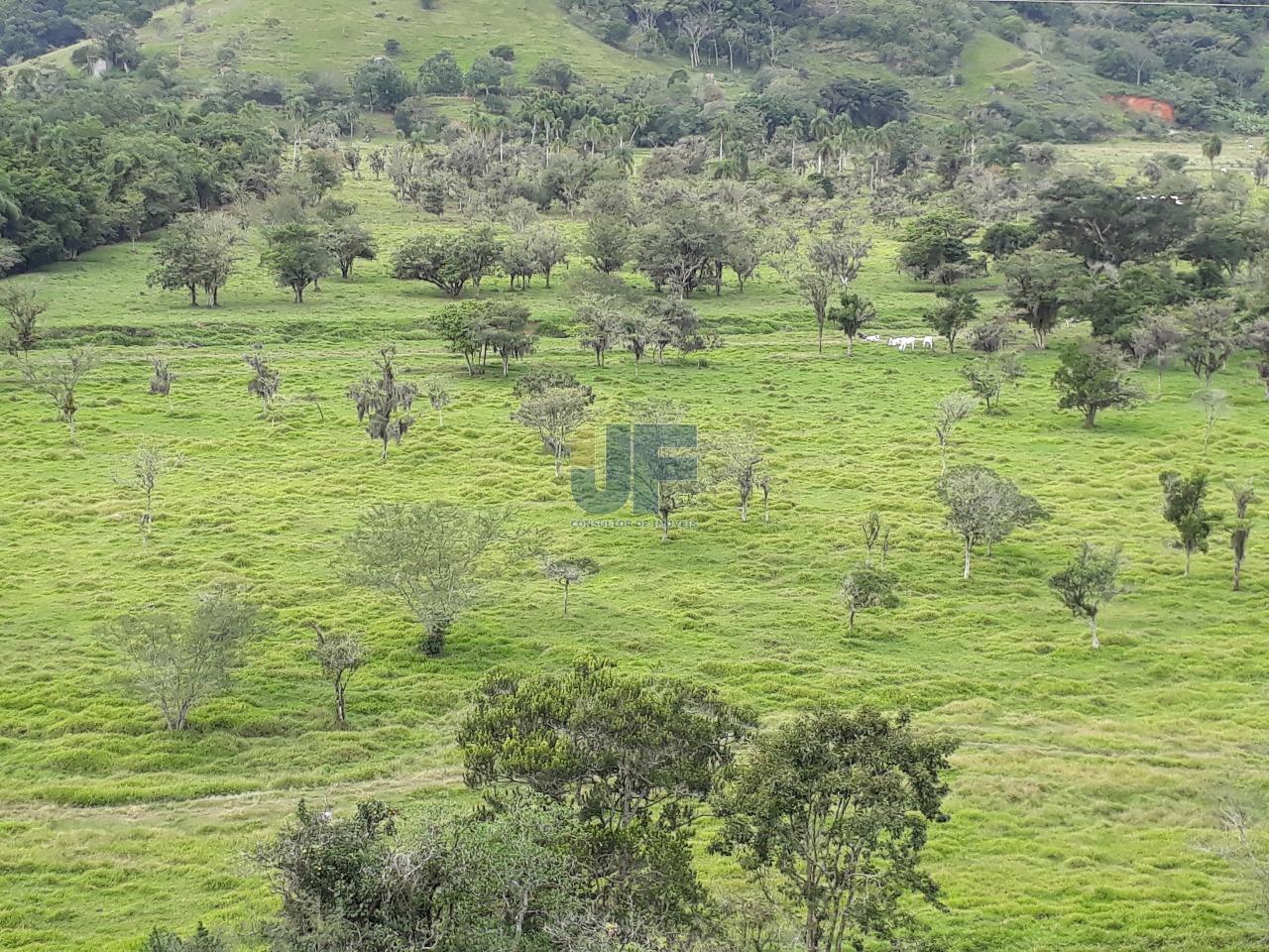 Fazenda, 53000 hectares - Foto 2