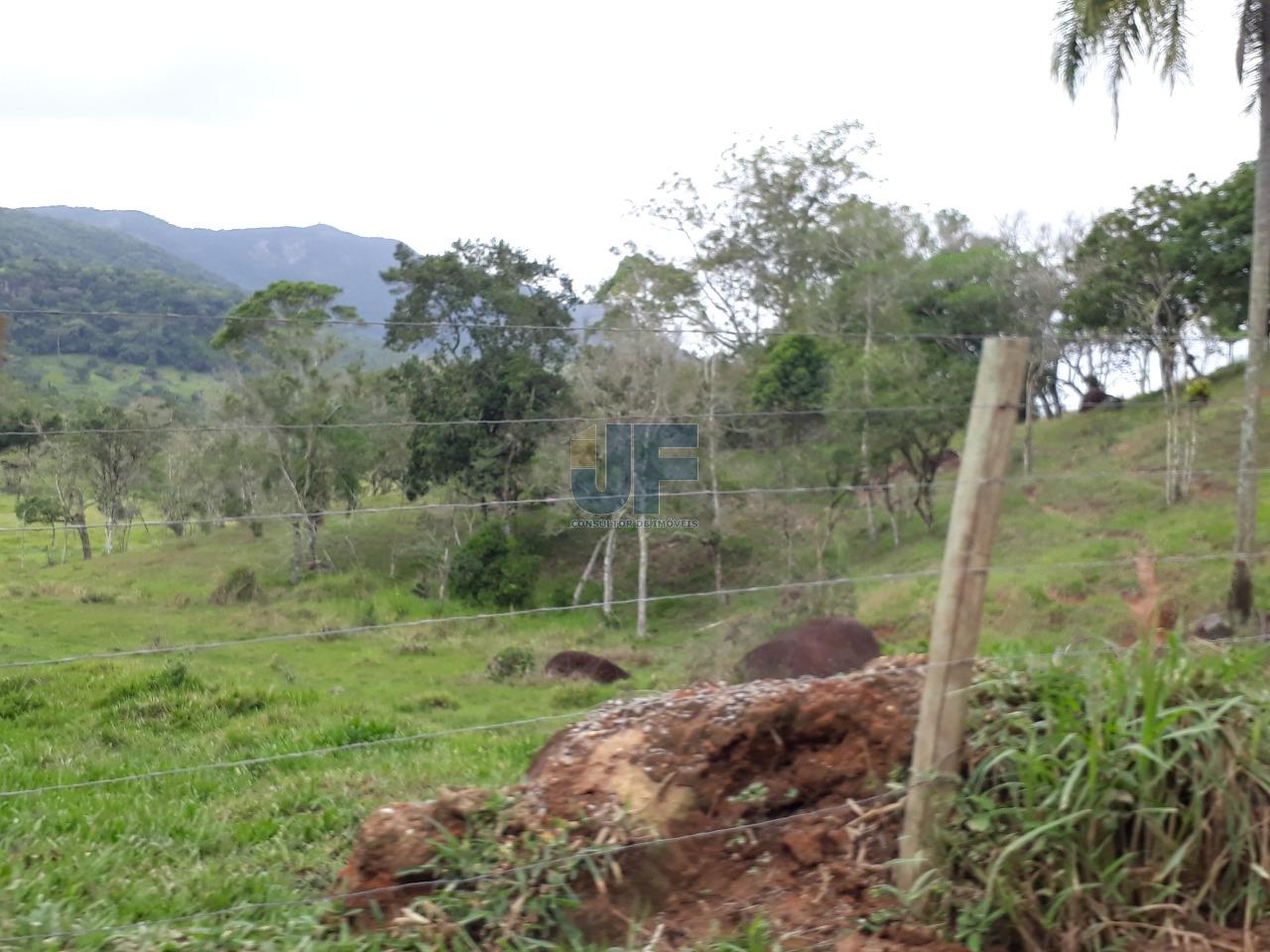 Fazenda, 53000 hectares - Foto 4