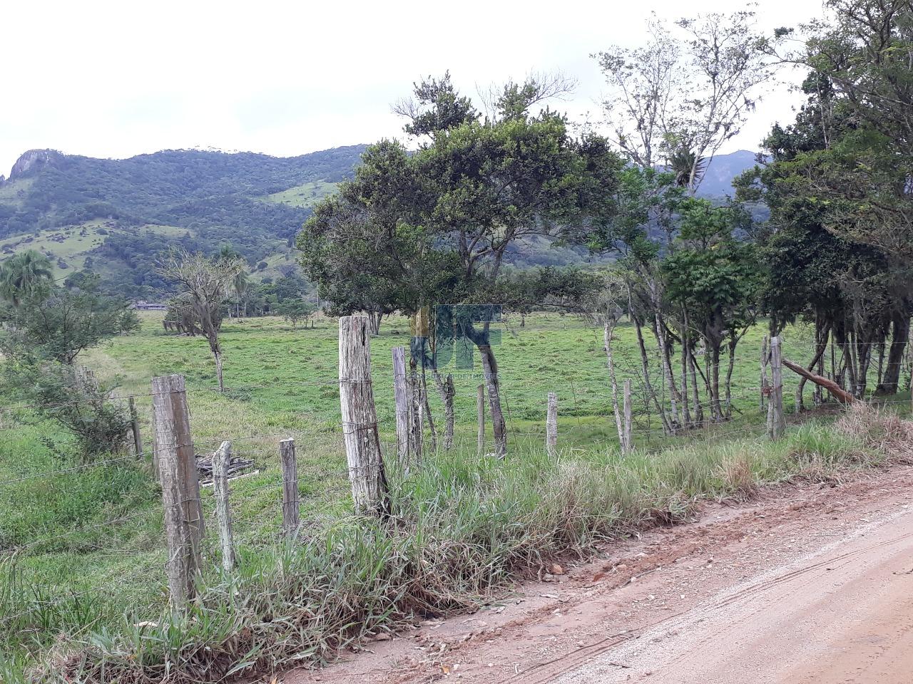 Fazenda, 53000 hectares - Foto 6