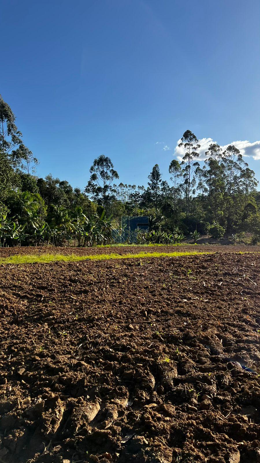 Fazenda à venda com 4 quartos, 58m² - Foto 12