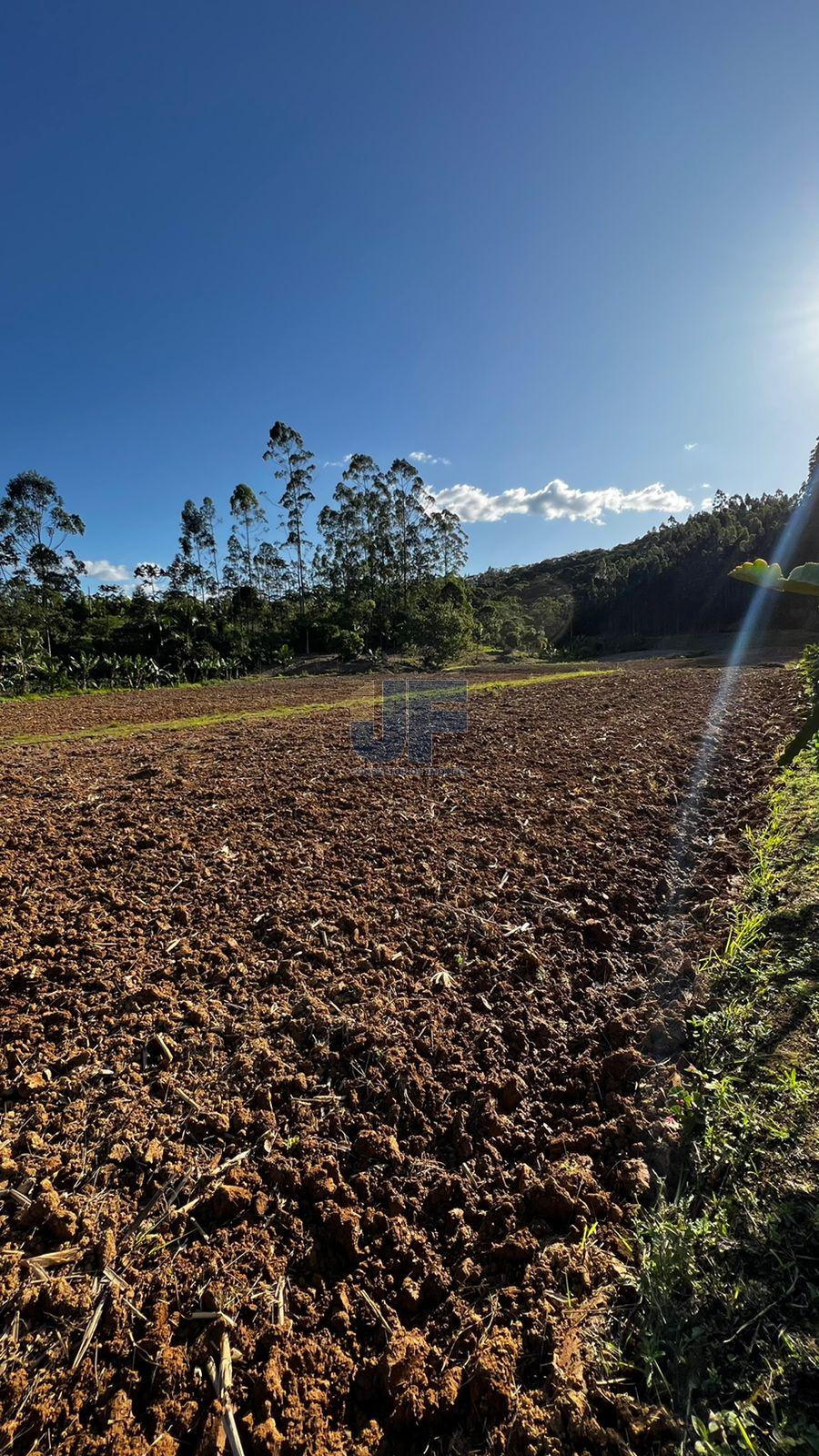 Fazenda à venda com 4 quartos, 58m² - Foto 14