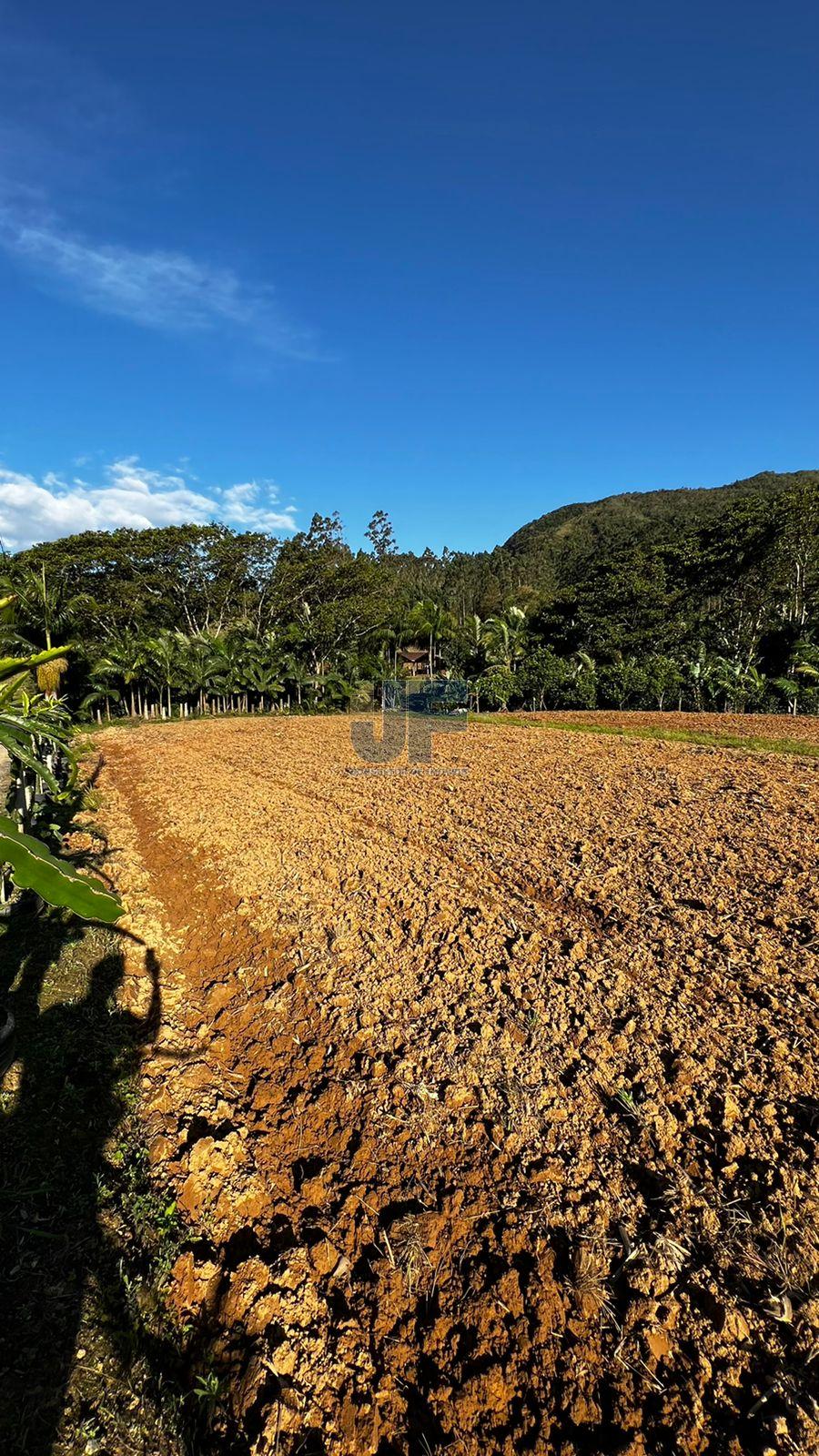 Fazenda à venda com 4 quartos, 58m² - Foto 15