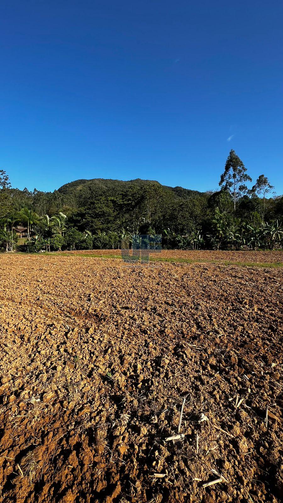 Fazenda à venda com 4 quartos, 58m² - Foto 16