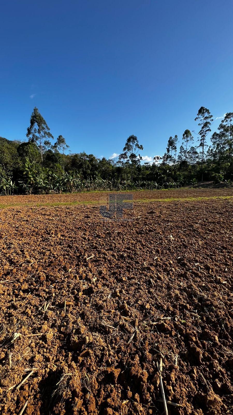 Fazenda à venda com 4 quartos, 58m² - Foto 18