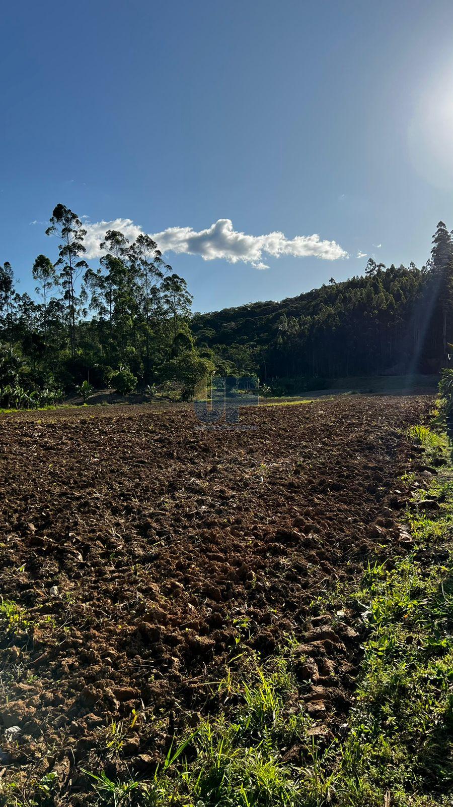 Fazenda à venda com 4 quartos, 58m² - Foto 19