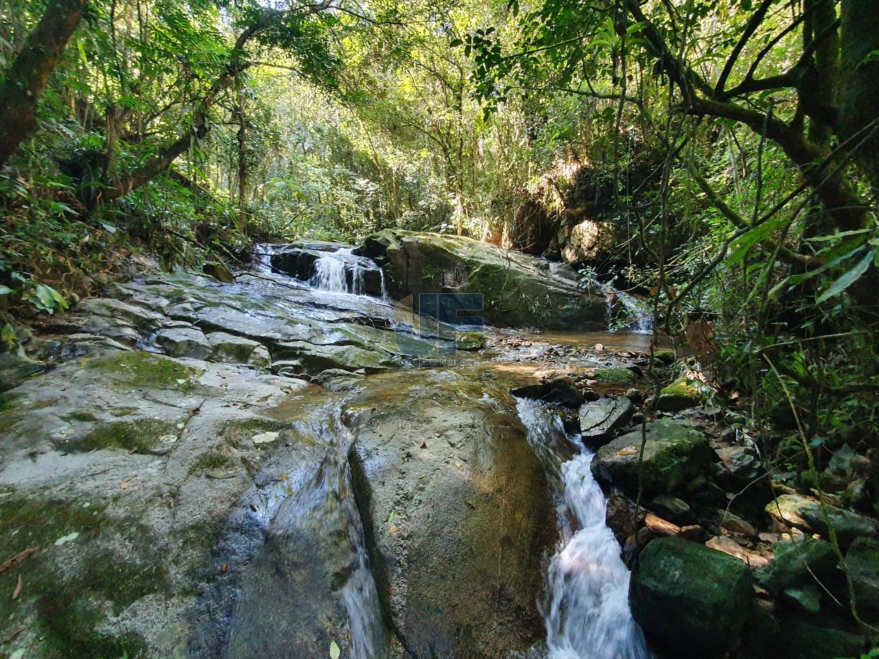 Fazenda à venda, 150000m² - Foto 11