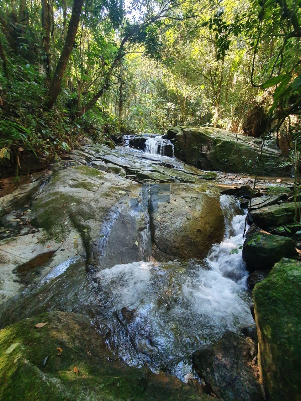 Fazenda à venda, 150000m² - Foto 12