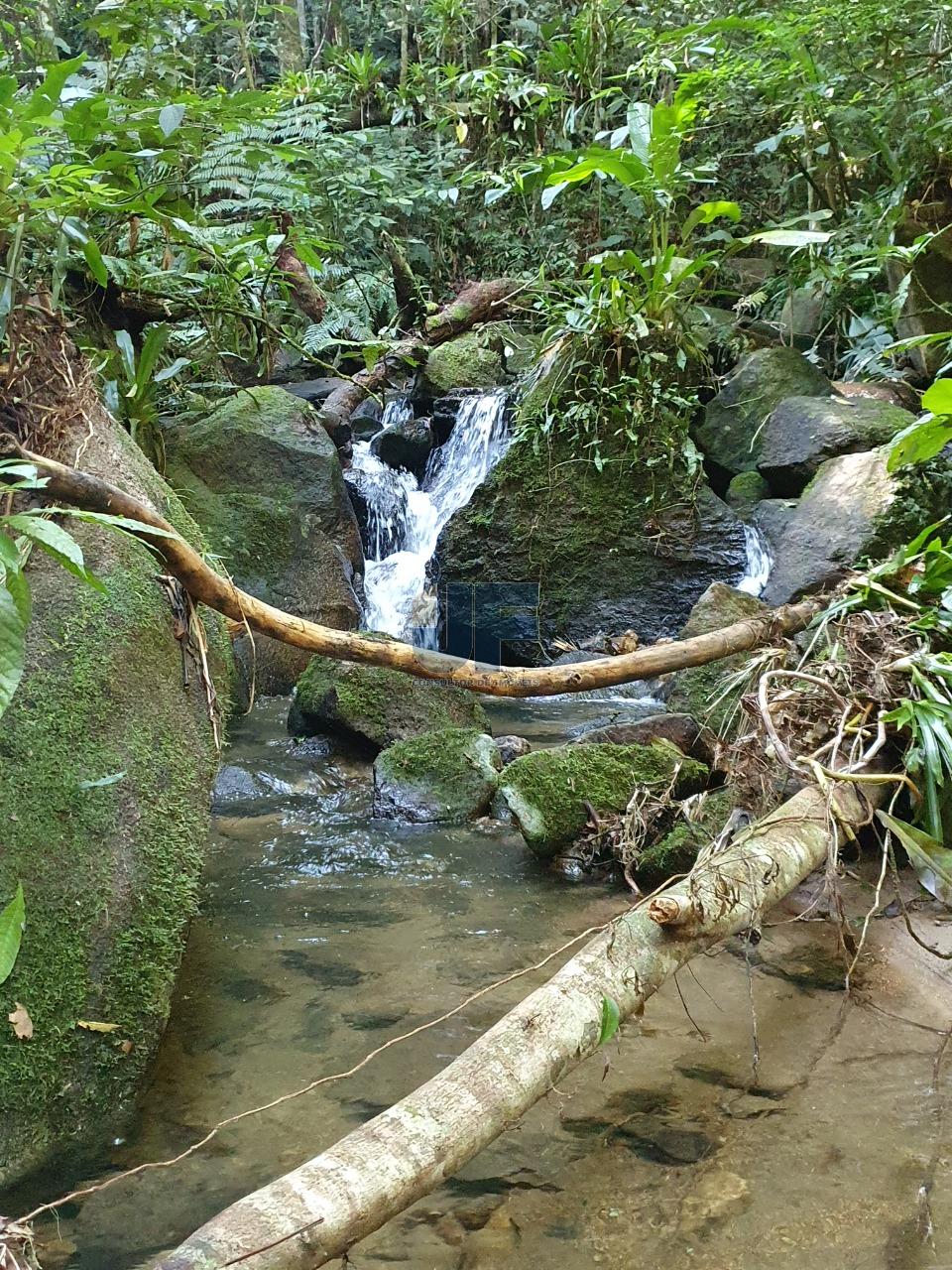 Fazenda à venda, 150000m² - Foto 14