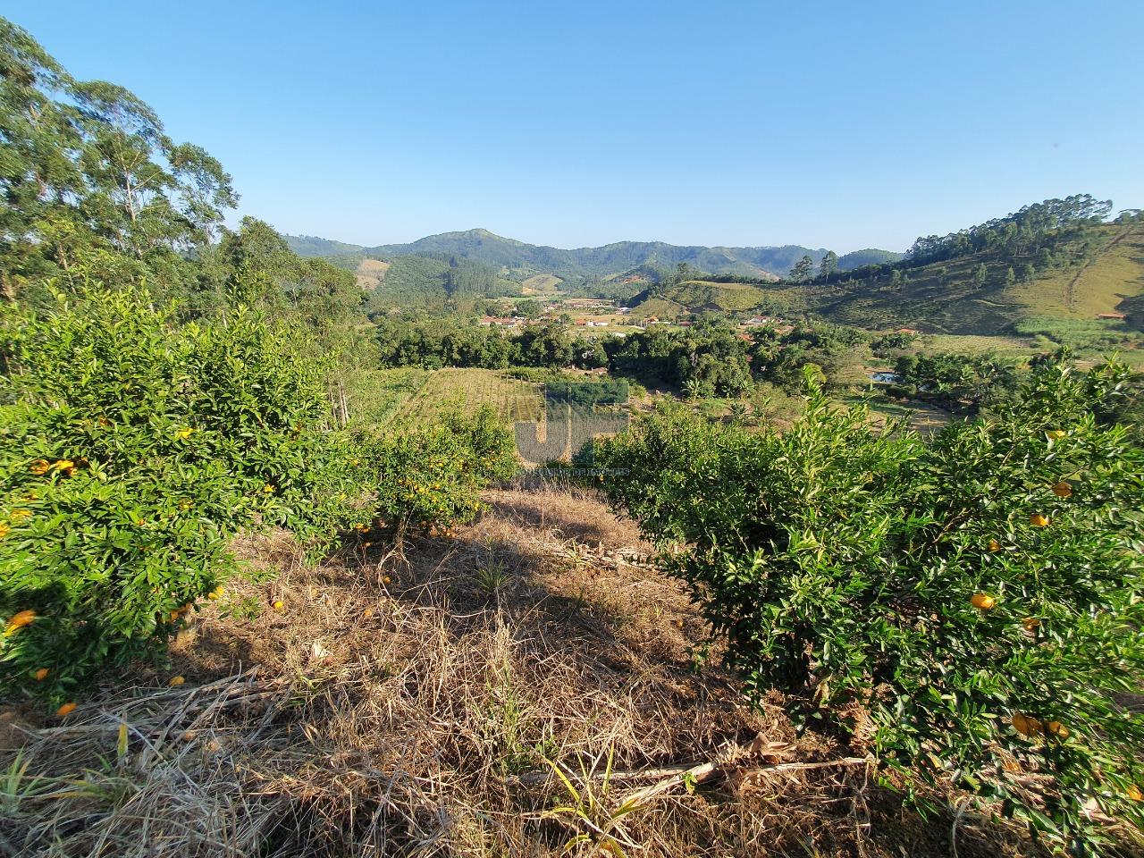 Fazenda à venda, 150000m² - Foto 5