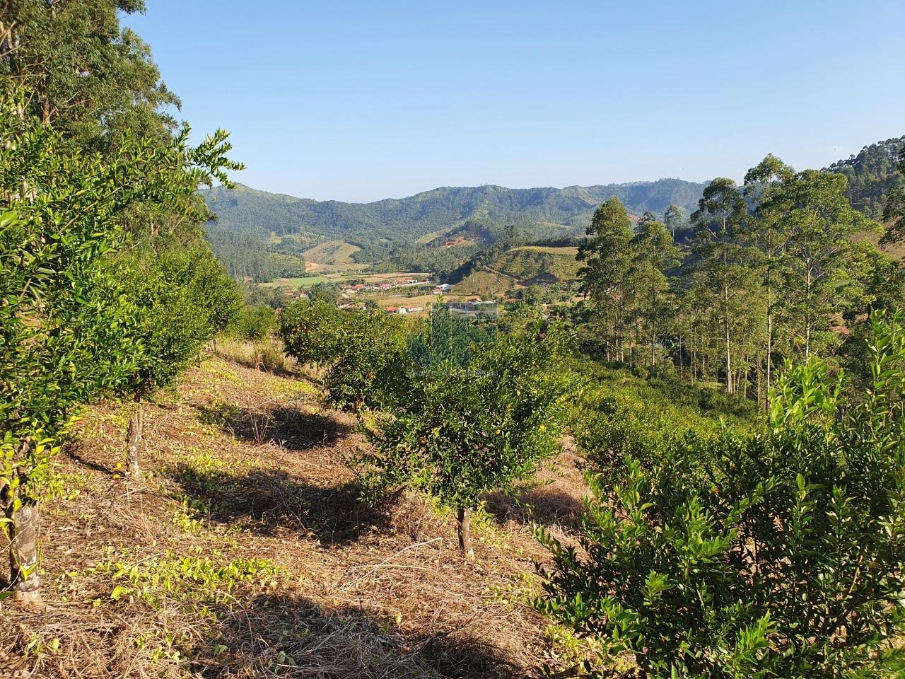 Fazenda à venda, 150000m² - Foto 6