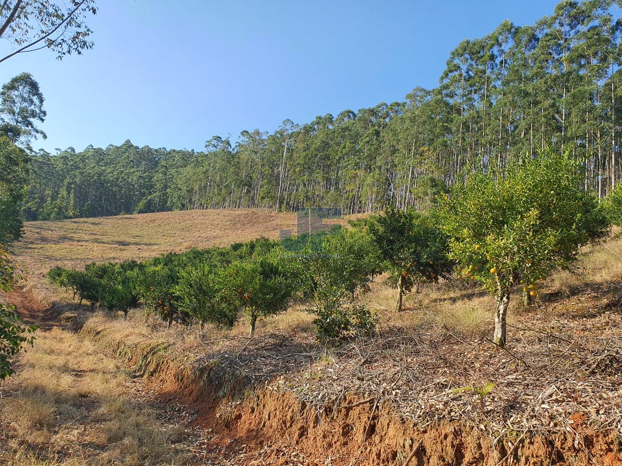 Fazenda à venda, 150000m² - Foto 8