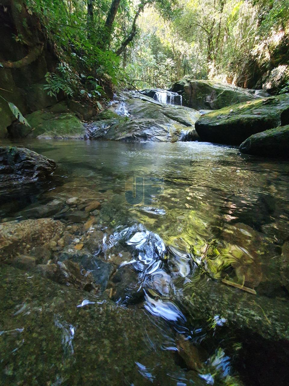 Fazenda à venda, 150000m² - Foto 9