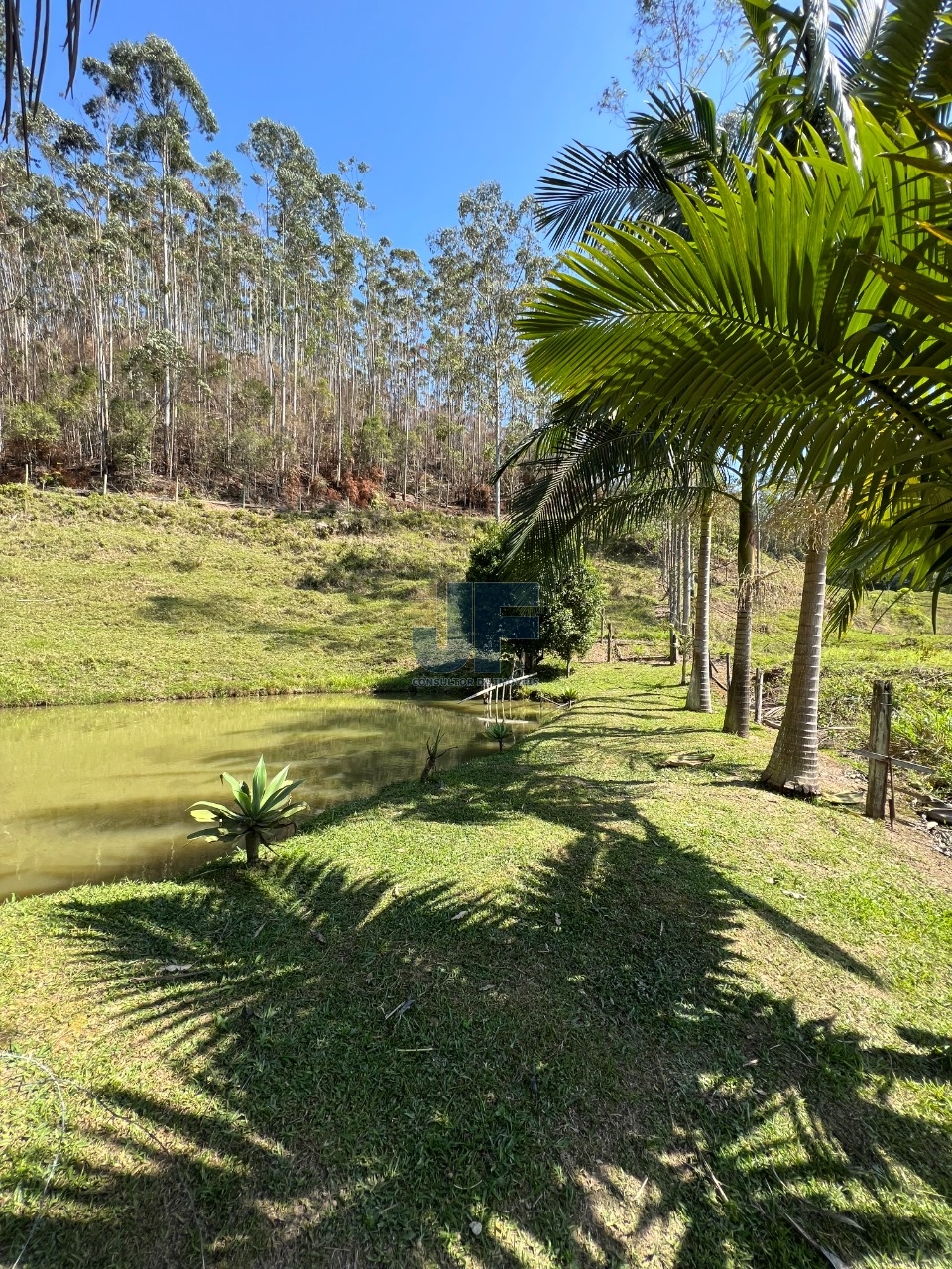 Fazenda à venda com 2 quartos, 3265m² - Foto 1