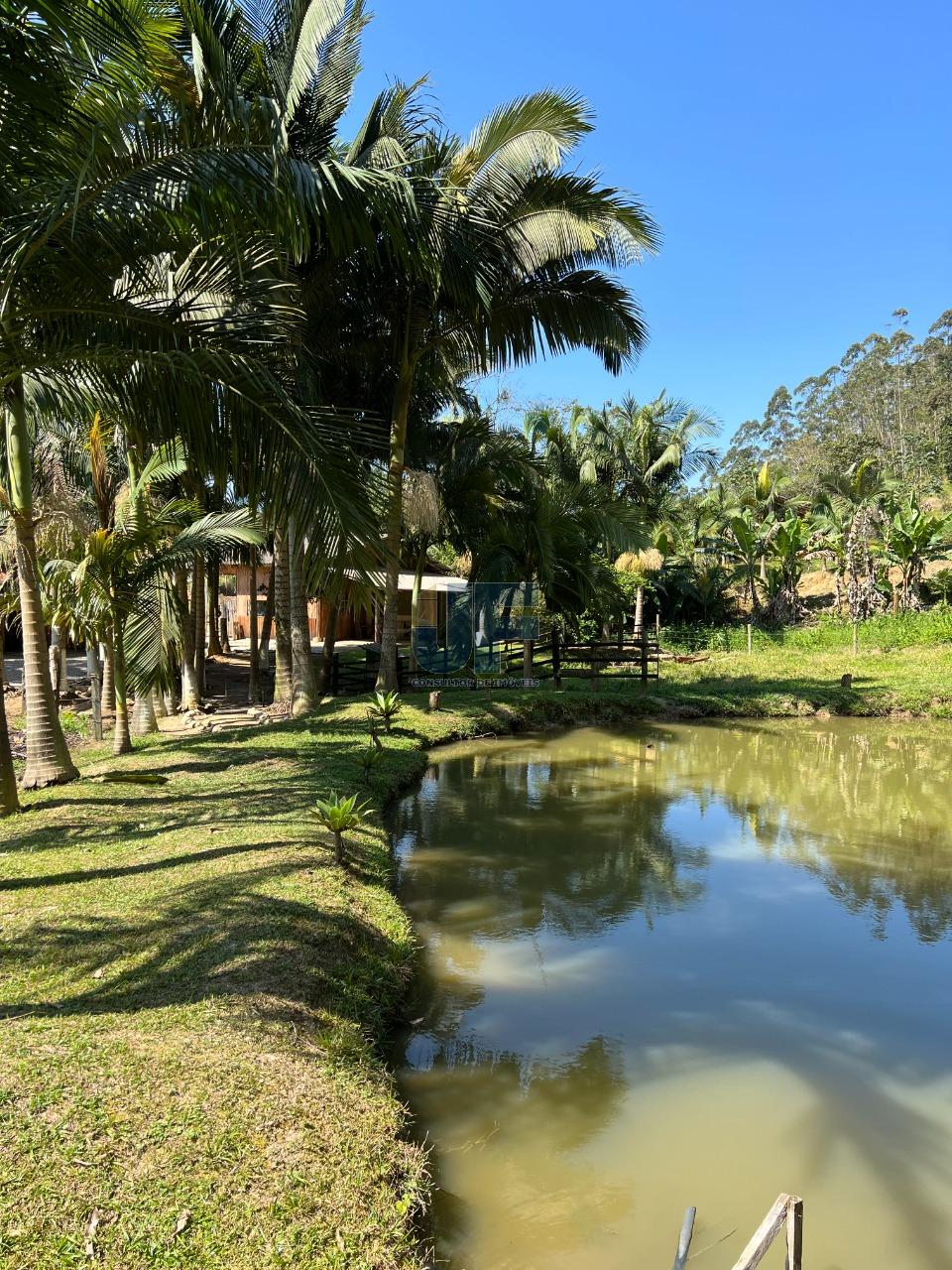 Fazenda à venda com 2 quartos, 3265m² - Foto 10