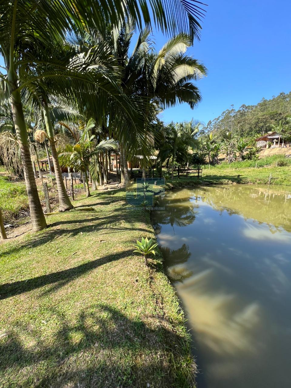 Fazenda à venda com 2 quartos, 3265m² - Foto 5