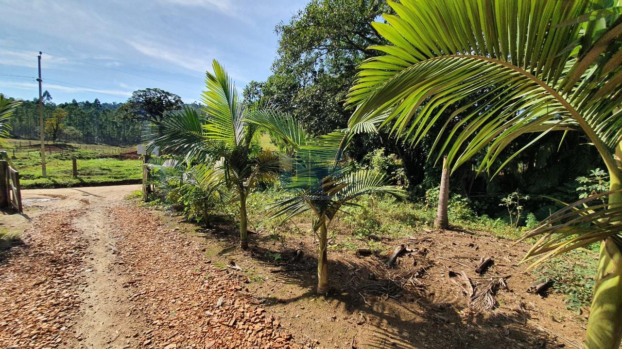 Fazenda à venda, 3680m² - Foto 13