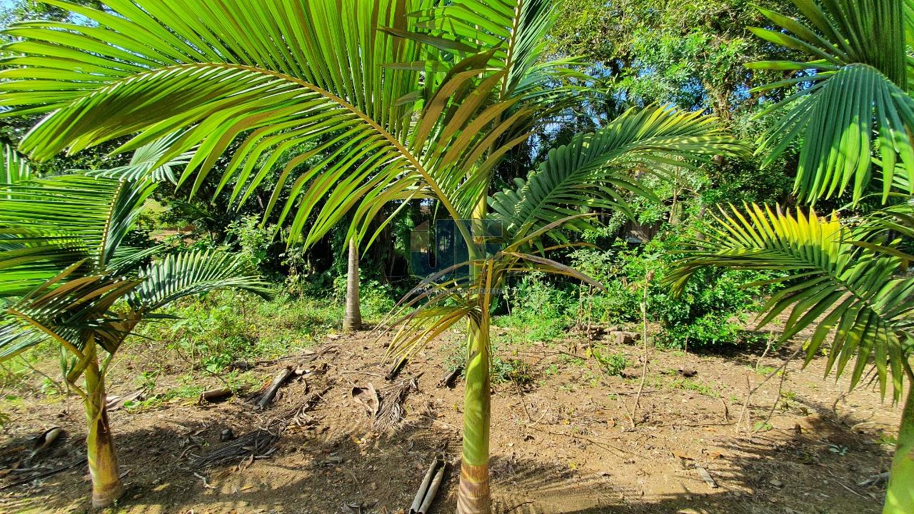 Fazenda à venda, 3680m² - Foto 17