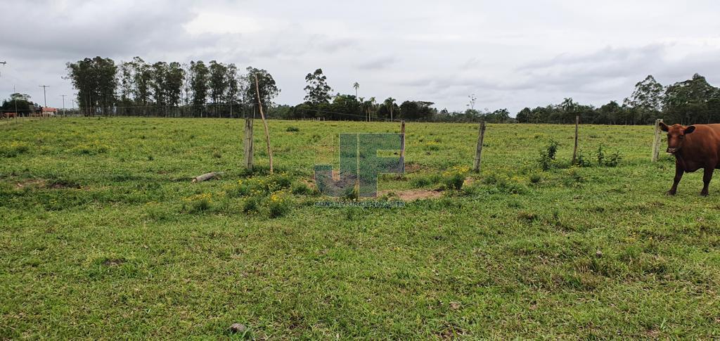 Fazenda à venda, 330000000m² - Foto 14