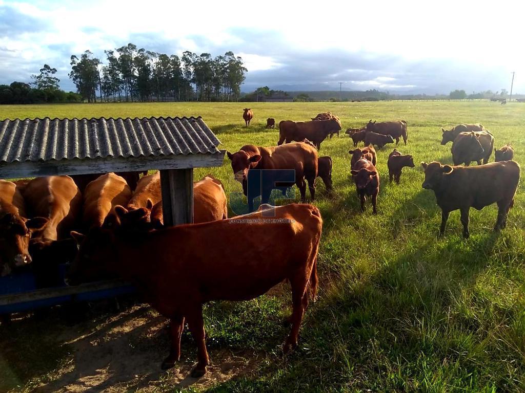 Fazenda à venda, 330000000m² - Foto 18