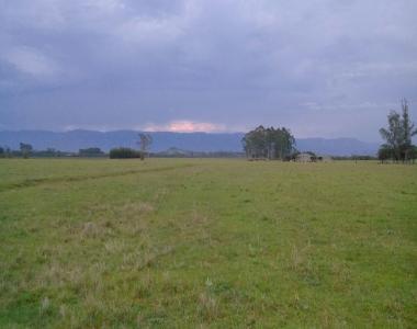 LINDA FAZENDA PECUARIA, LAVOURA ARROZ, SOJA A 15 KM DE TORRES RS