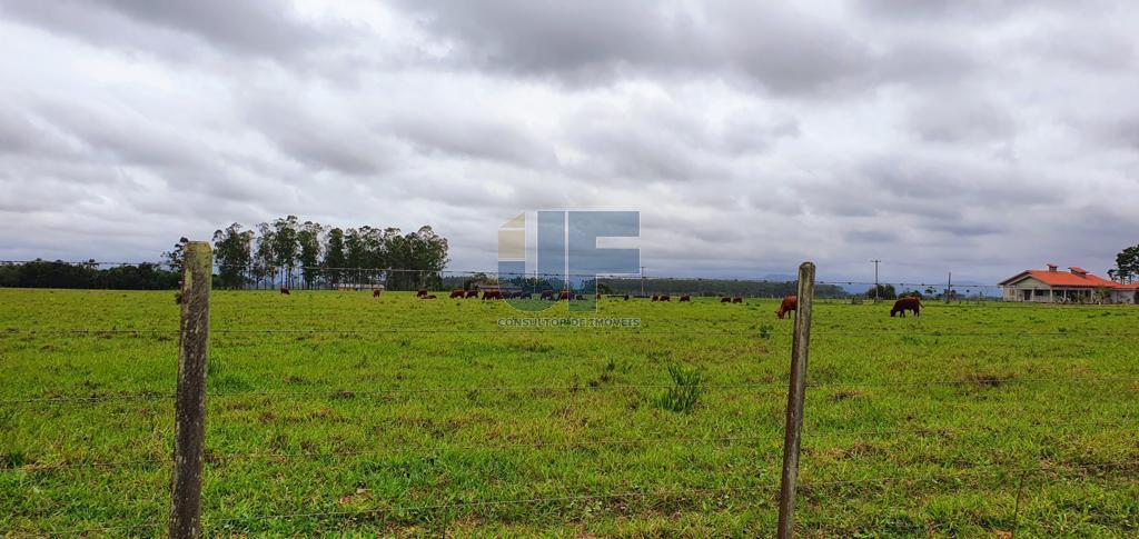 Fazenda à venda, 330000000m² - Foto 22