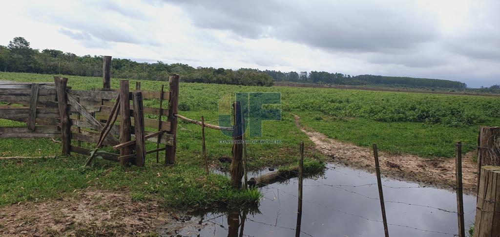 Fazenda à venda, 330000000m² - Foto 25