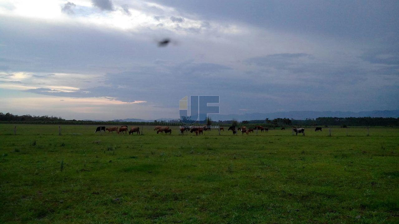 Fazenda à venda, 330000000m² - Foto 3