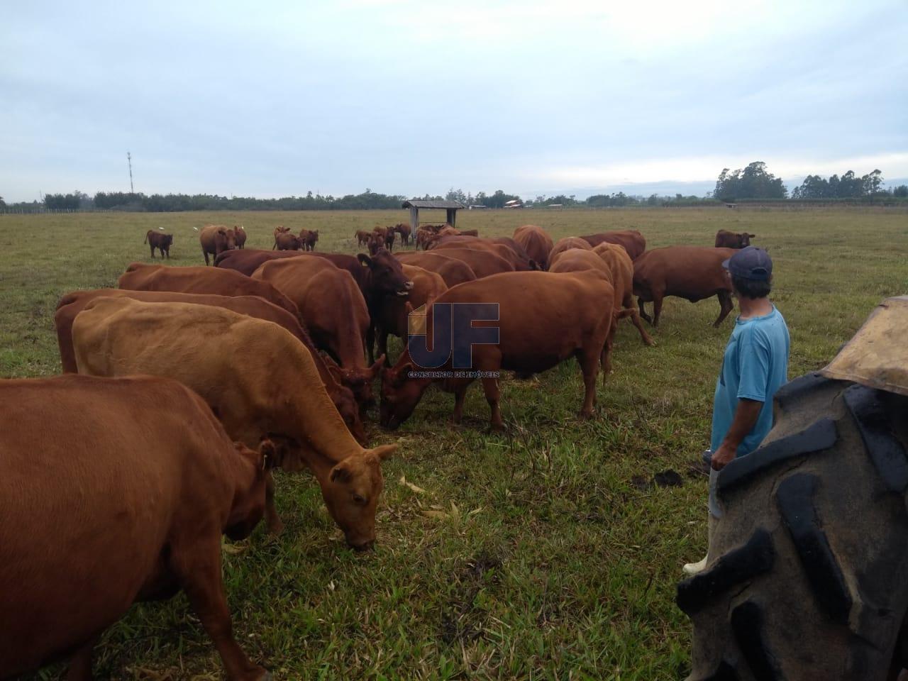 Fazenda à venda, 330000000m² - Foto 8