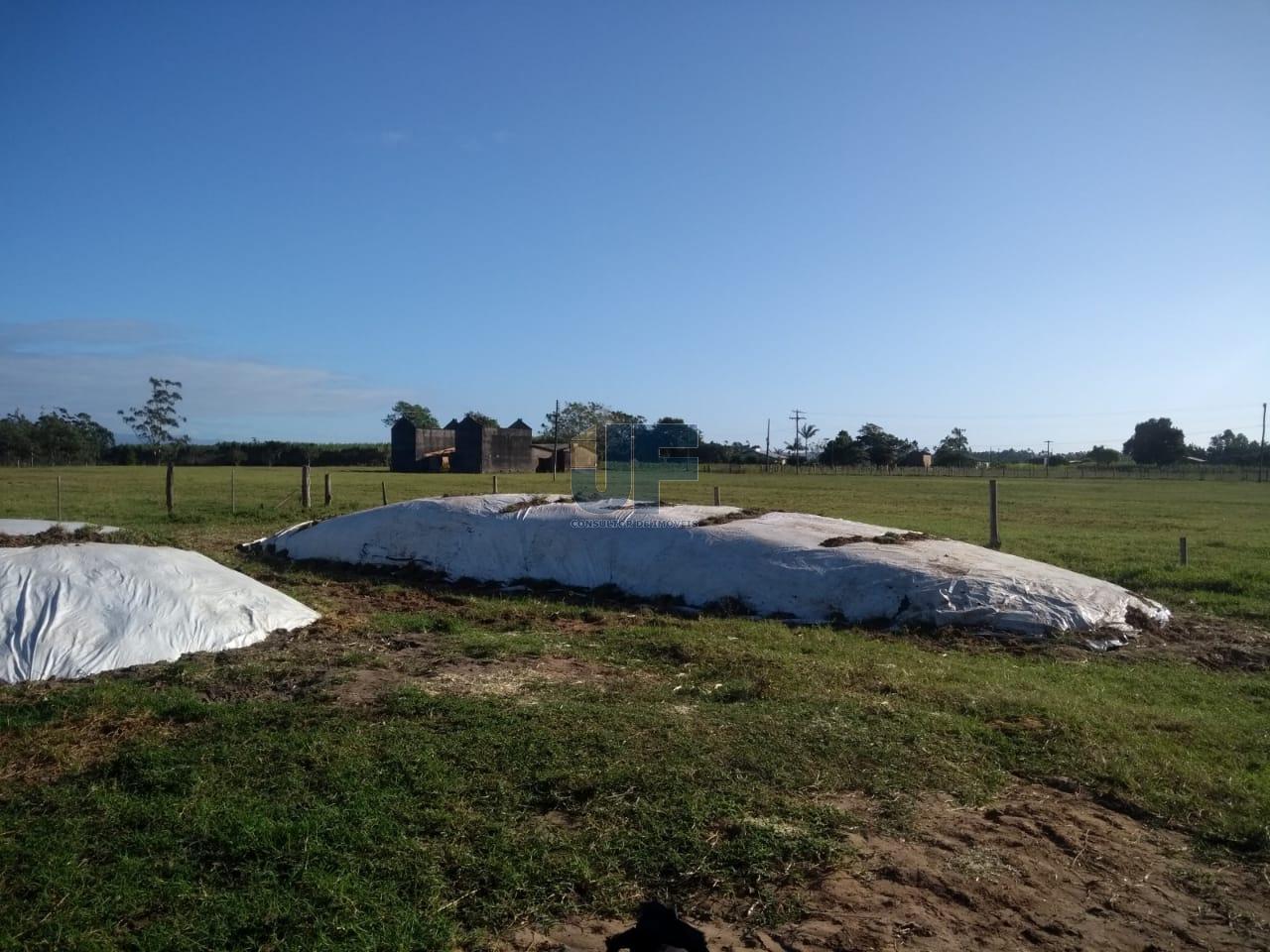 Fazenda à venda, 330000000m² - Foto 9