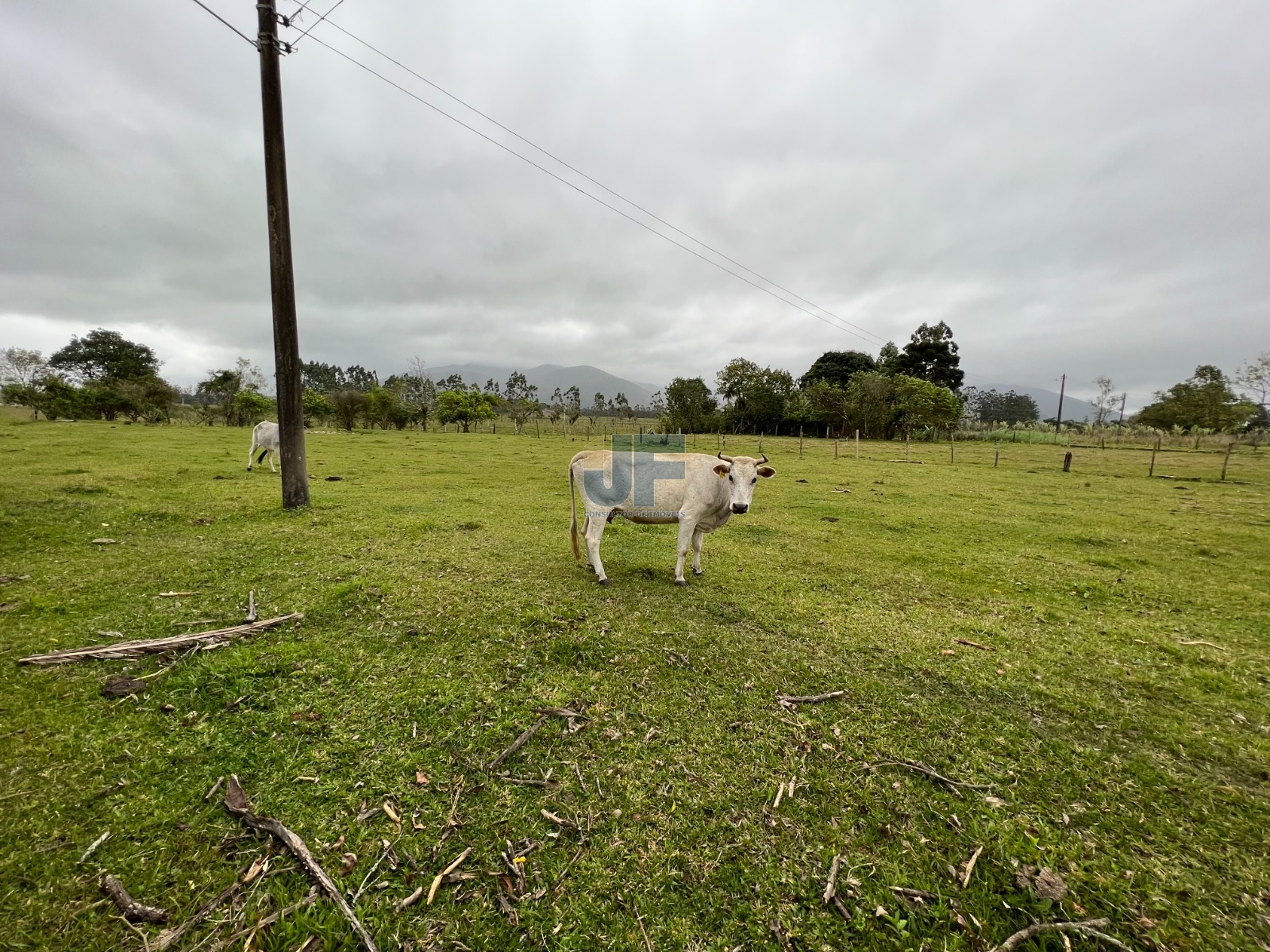 Fazenda à venda, 750000m² - Foto 1