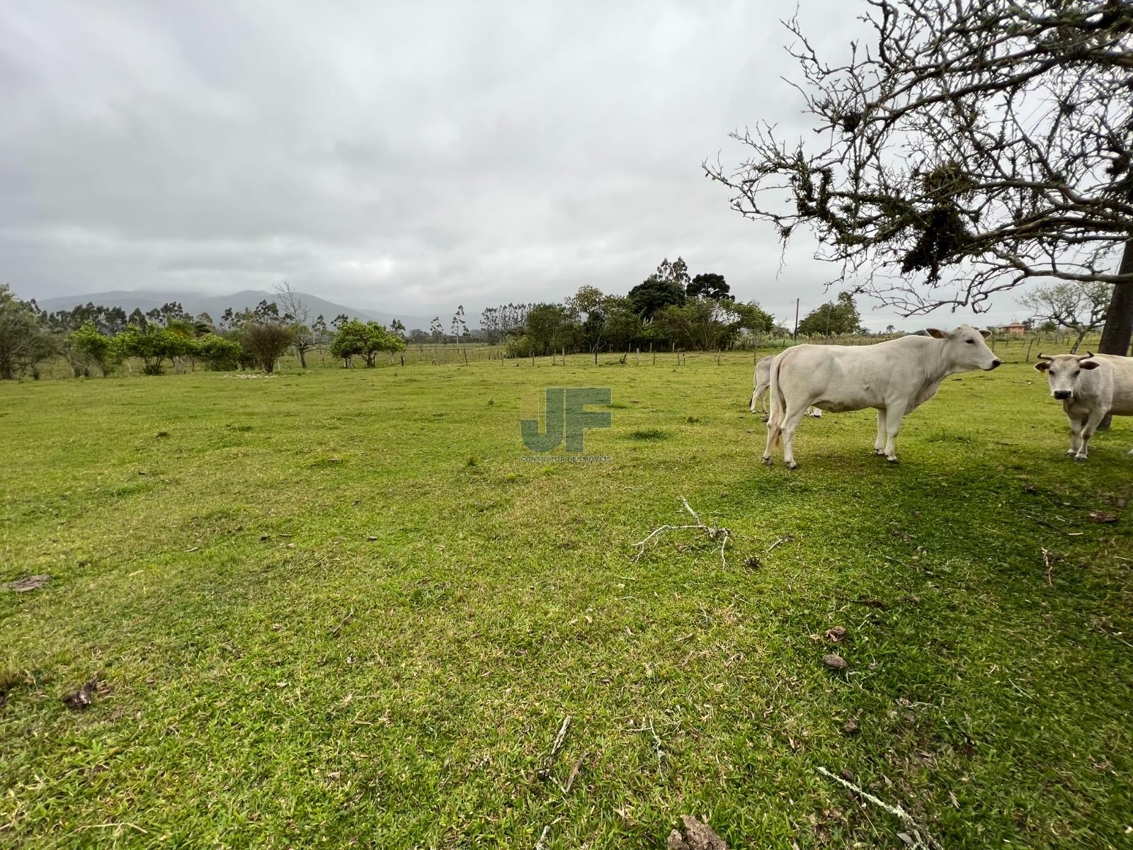 Fazenda à venda, 750000m² - Foto 10