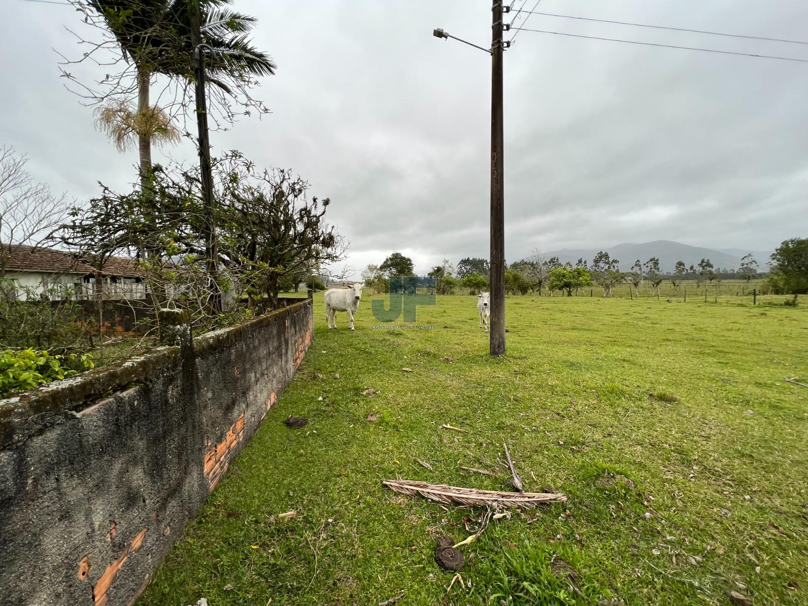 Fazenda à venda, 750000m² - Foto 7