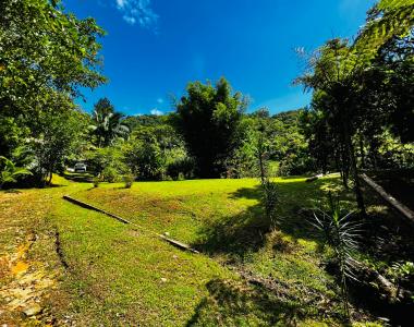 Sítio Alto Padrão com Riacho a Venda em Tijucas