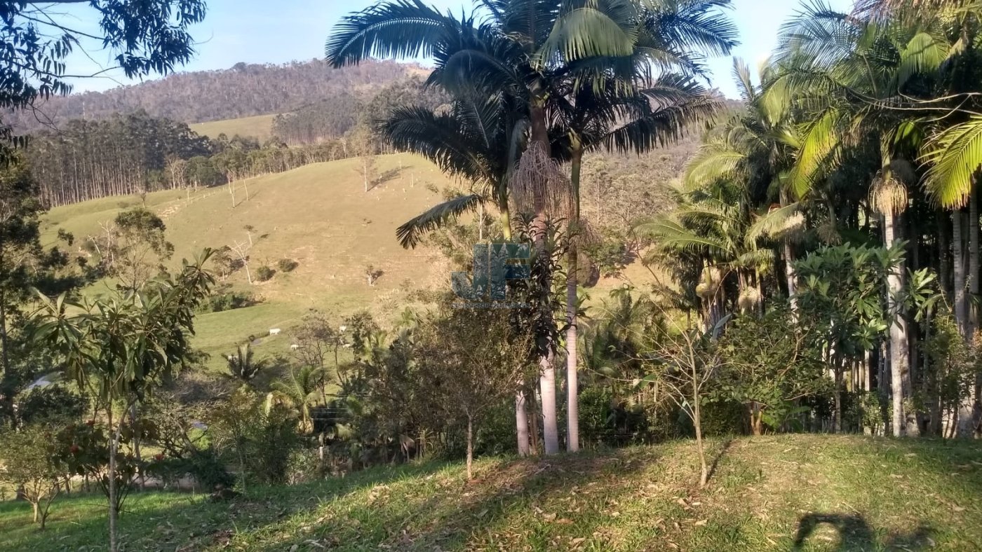 Lindo sítio em área rural de Camboriú no Braço, escriturado com 31.990,00 M² .