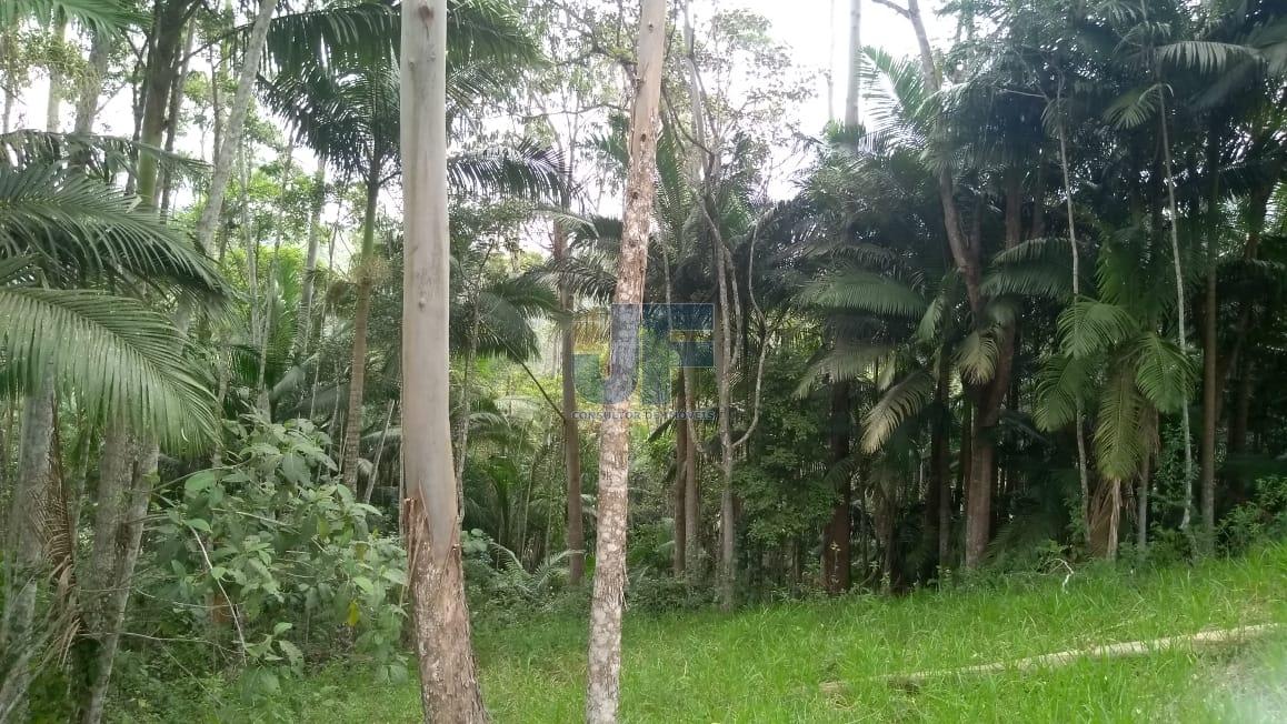 Lindo sítio em área rural de Camboriú no Braço, escriturado com 31.990,00 M² .
