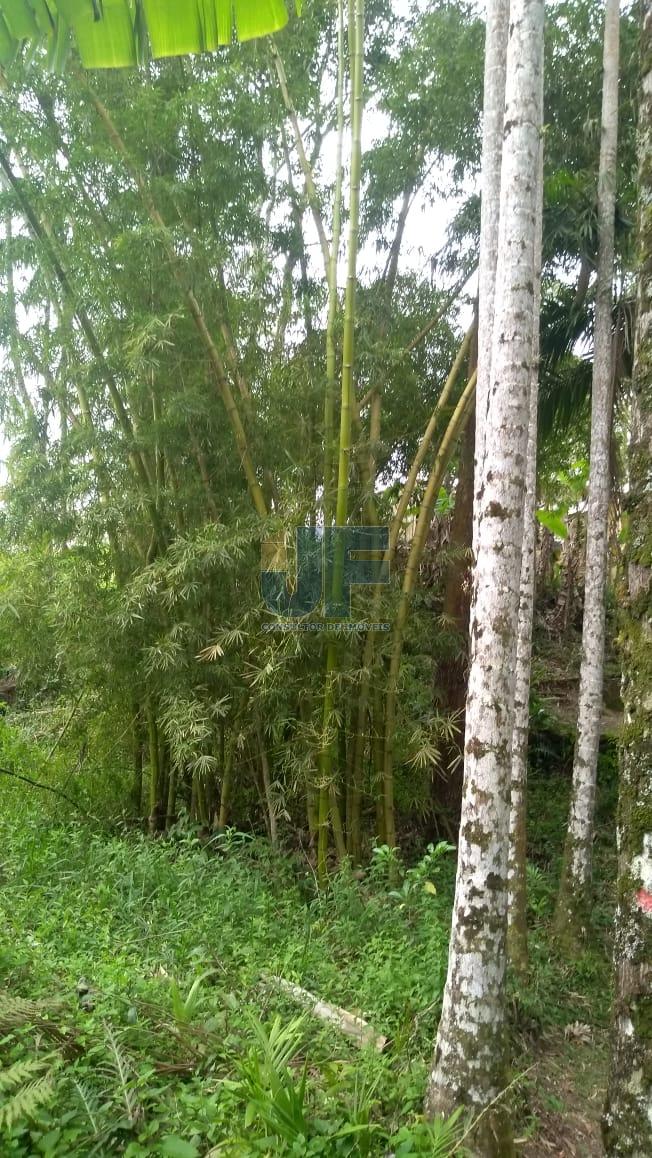 Lindo sítio em área rural de Camboriú no Braço, escriturado com 31.990,00 M² .