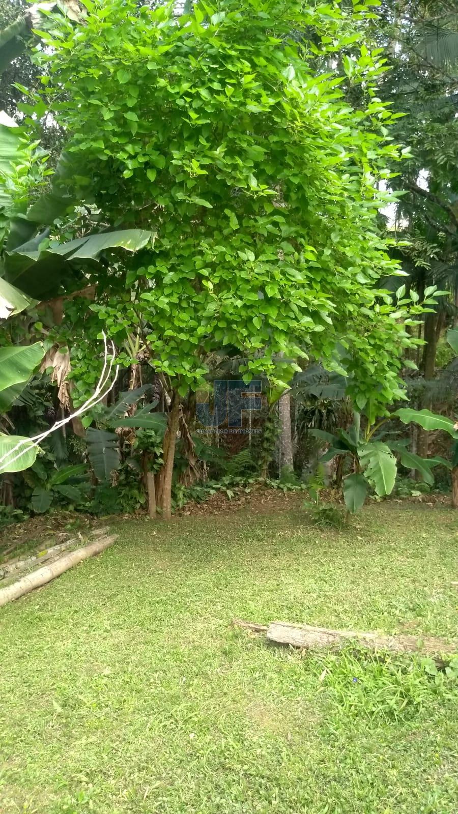 Lindo sítio em área rural de Camboriú no Braço, escriturado com 31.990,00 M² .